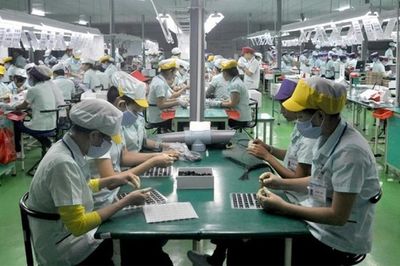 Lao động hết hạn hợp đồng không về nước có thể bị phạt tới 100 triệu đồng