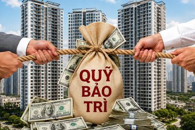 Mua căn hộ, ai bảo vệ quyền lợi của cư dân?