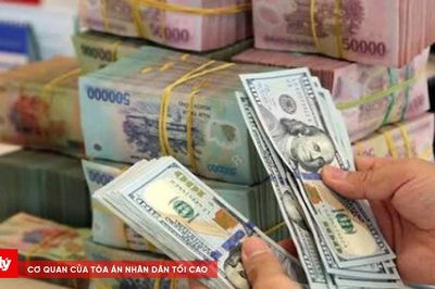 Tỷ giá ngoại tệ ngày 23/8: USD và các ngoại tệ chủ chốt duy trì đi ngang cuối tuần