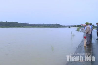 Mưa lớn gây ngập hơn 535ha đất nông nghiệp