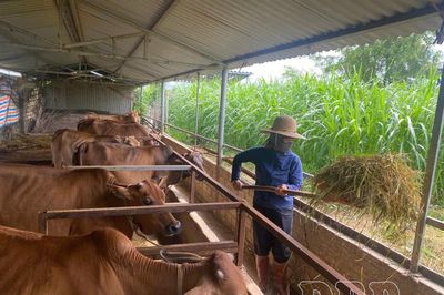 Gỡ khó xây dựng nông thôn mới