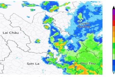 Lào Cai cảnh báo mưa to đến rất to, dông lốc trên diện rộng