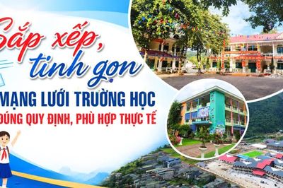 Sắp xếp, tinh gọn mạng lưới trường học đúng quy định, phù hợp thực tế