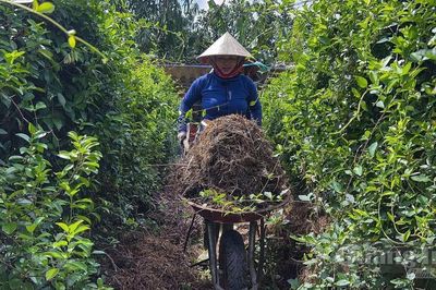 Xanh hóa sản xuất
