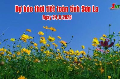 Dự báo thời tiết toàn tỉnh Sơn La ngày 24/8/2026