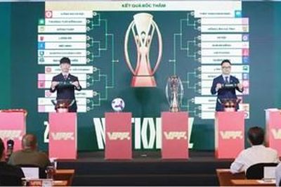 Một V.League chuyên nghiệp hơn