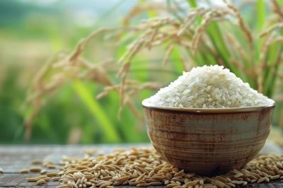 Ngày 23/8: Giá lúa gạo tại Đồng bằng sông Cửu Long biến động