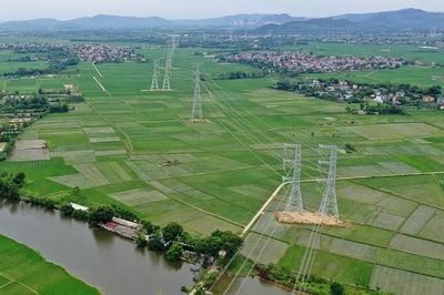 Mở đường cho dòng năng lượng xanh: Nghệ An giao hơn 10 ha đất cho dự án siêu đường dây 500kV mạch kép