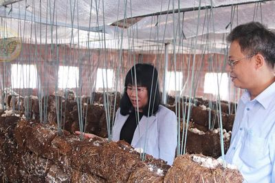 Từ hỗ trợ máy móc đến nâng tầm chuỗi giá trị