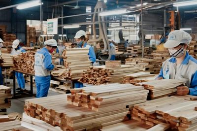 Khơi thông dư địa thị trường nội địa cho ngành gỗ Việt