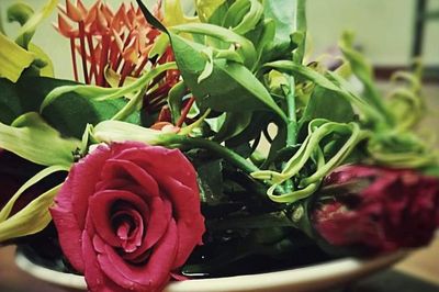 Còn mẹ để về, còn chỗ để thương