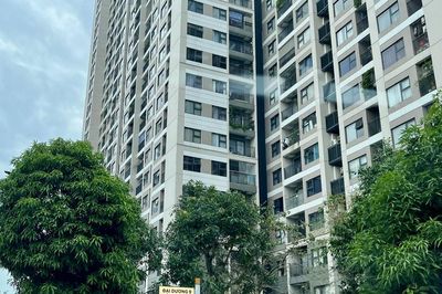 Nguồn cung căn hộ khu vực mở rộng TP.HCM: Bình Dương dẫn dắt, Bà Rịa - Vũng Tàu nghiêng về phân khúc cao cấp