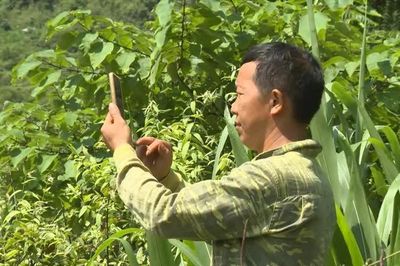 'Lõm sóng' giữa hành trình chuyển đổi số