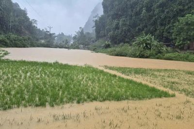 Chủ động các giải pháp đảm bảo an toàn, giảm thiểu thiệt hại do bão số 4