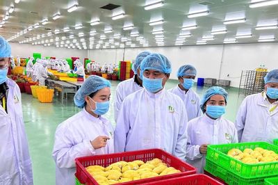 Hệ thống truy xuất nguồn gốc nông sản đã ghi nhận hơn 158.000 sản phẩm