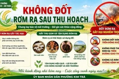 Tp. Huế: Xây dựng không gian xanh ở Kim Trà - Không đốt rơm rạ sau thu hoạch