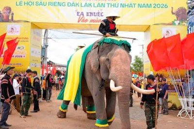 Ea Knuếc lan tỏa giá trị Lễ hội Sầu riêng Đắk Lắk kết nối văn hóa và thương mại