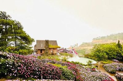 Từ Thủ đô đến đại ngàn: Mở rộng hành trình trải nghiệm du lịch Hà Nội - Lâm Đồng