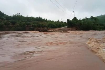 Hà Nội và Ninh Bình chủ động hộ đê, ứng phó lũ trên các sông đang lên cao
