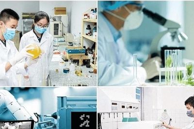 Giữ liêm chính từ những nghiên cứu trẻ
