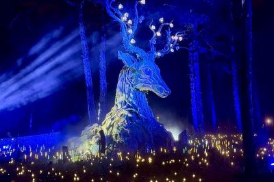 Đêm Đà Lạt 'thức giấc' với vũ trụ ánh sáng kỳ ảo tại Delight Park