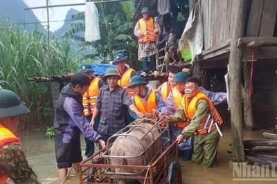 Cao Bằng hỗ trợ người dân khắc phục hậu quả thiên tai