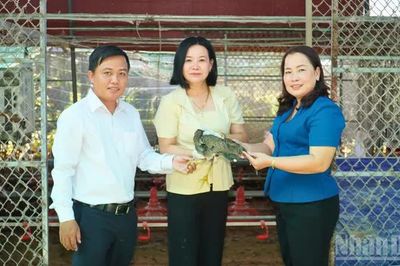 Cần Thơ đưa công nghệ và kinh tế tuần hoàn vào sản xuất nông nghiệp