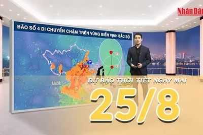 [Video] Dự báo thời tiết đêm nay và ngày mai 25/8/2026: Bão số 4 tiếp tục gây mưa lớn diện rộng tại Bắc Bộ và Bắc Trung Bộ