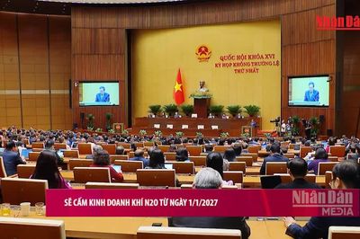[Video] Sẽ cấm kinh doanh khí N2O từ 1/1/2027