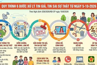 Quy trình 6 bước xử lý tin giả, tin sai sự thật từ ngày 5-10-2026