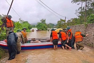 Báo động lũ khẩn cấp trên sông Lục Nam, sông Thương và sông Cầu