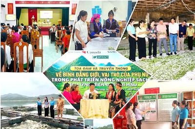 Lào Cai dự kiến bố trí gần 25 nghìn tỷ đồng hỗ trợ phụ nữ khởi nghiệp giai đoạn 2026-2035
