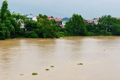 Bắc Ninh: Hơn 1.400 hộ dân phải di dời, lũ trên nhiều sông vượt báo động III