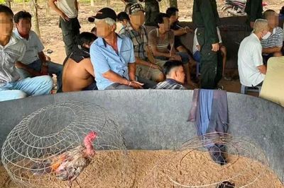 Hành trình phá sới đá gà, bắt 40 người giữa vườn cao su ở Tây Ninh