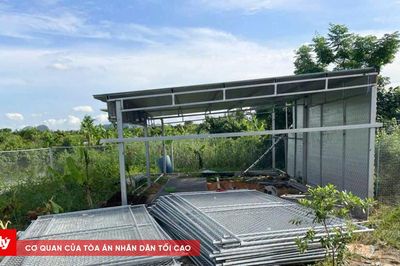 Cảnh báo hành vi dựng tài sản để trục lợi bồi thường