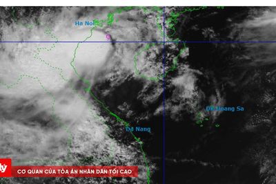 Bão số 4 giật cấp 11, mưa lớn bao trùm nhiều khu vực