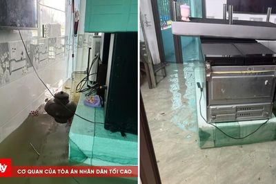 Ninh Bình: Gần 400 hộ dân ở Kênh Gà bị ngập lụt