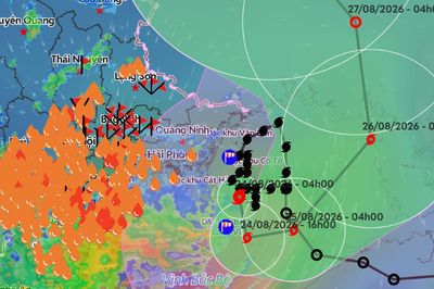Bão số 4 Narra cách Hải Phòng 145km, liên tục 'nhúc nhích' đổi hướng
