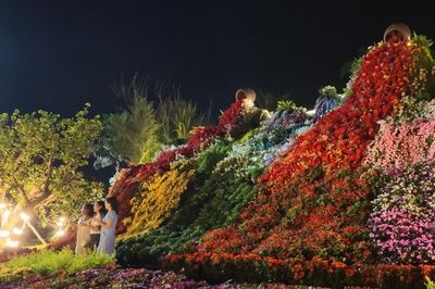 Ngàn hoa đại ngàn khoe sắc giữa phố biển Quy Nhơn
