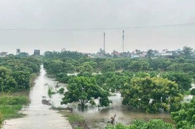 Hải Phòng chạy hết công suất các trạm bơm chống úng