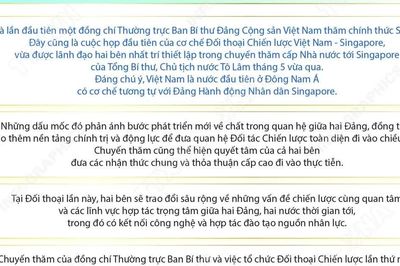 Quan hệ Đối tác Chiến lược Toàn diện Việt Nam-Singapore