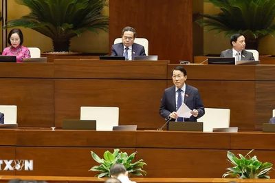 Quốc hội thảo luận về định hướng, chính sách dự án Luật Tổ chức cơ quan điều tra hình sự (sửa đổi)
