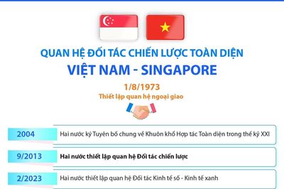 Quan hệ Đối tác chiến lược toàn diện Việt Nam - Singapore