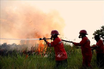 Indonesia bắt hơn 70 đối tượng và điều tra các doanh nghiệp nghi cố ý gây cháy