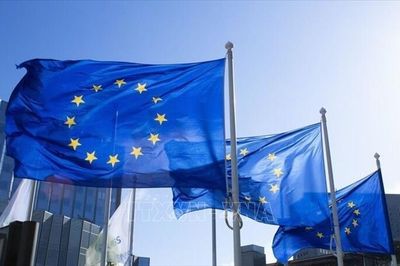 Iceland trưng cầu dân ý về việc nối lại đàm phán gia nhập EU