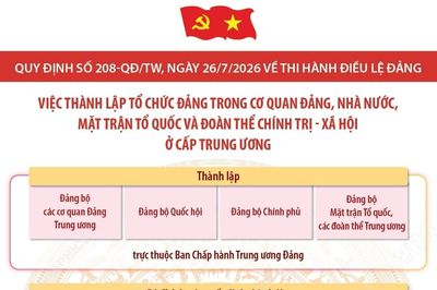Quy định số 208-QĐ/TW: Việc thành lập tổ chức đảng trong cơ quan Đảng, Nhà nước, Mặt trận Tổ quốc và đoàn thể chính trị - xã hội ở cấp trung ương