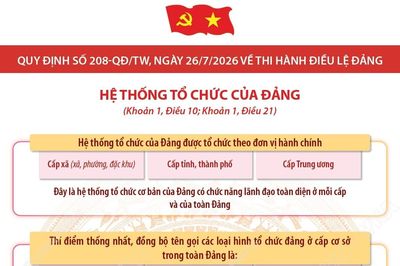Quy định số 208-QĐ/TW: Hệ thống tổ chức của Đảng