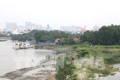 TP Hồ Chí Minh có 83 trường hợp vi phạm hành lang bờ sông, kênh, rạch