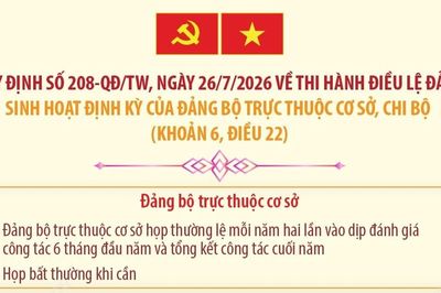 Quy định 208-QĐ/TW: Sinh hoạt định kỳ của đảng bộ trực thuộc cơ sở, chi bộ