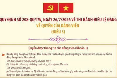 Quy định 208-QĐ/TW: Quyền của đảng viên